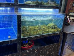 -91小龙虾·香辣蛙(蛇口店)