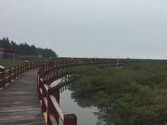 -北海金海湾红树林生态旅游区