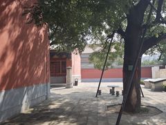 -药王庙(安国市)