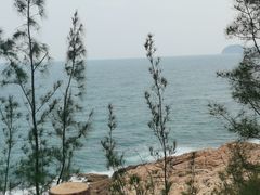 -广东惠东海龟国家级自然保护区