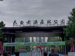 -黄海国家森林公园