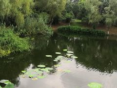 -尚贤河湿地