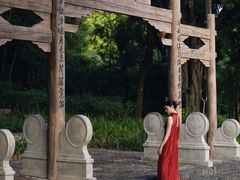 -深圳国际园林花卉博览园