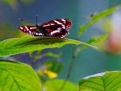 -陕西省红河谷森林公园