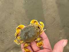-南澳海滩