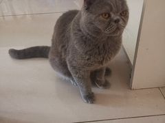 -平行世界·猫咖(首经贸店)