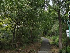 -敬亭山风景名胜区