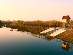 -东郊湿地公园