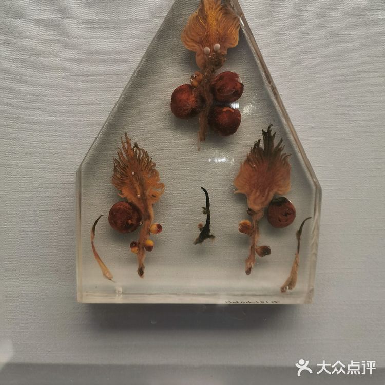 妈妈再也不用担心我五谷不分了