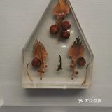 妈妈再也不用担心我五谷不分了