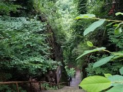 -天女山森林公园