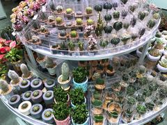 -KKV(深圳kk one 店)