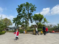 -成飞公园
