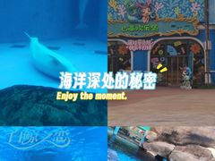 -海合安成都极地海洋公园
