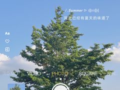 -深圳湾公园(南山区)
