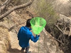 -碓臼峪自然风景区