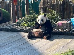 -大连森林动物园