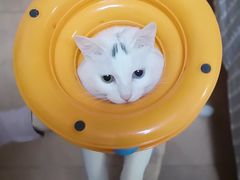 -北京恒爱动物医院(清景园分院)