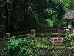 -雁荡山风景名胜区