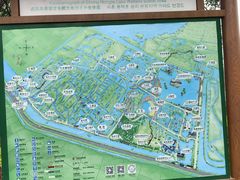-泗洪洪泽湖湿地景区