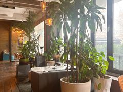 -the rug 飞毯 (朝阳公园店)