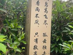 -敬亭山风景名胜区