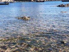 -石槽海滨浴场