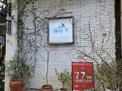 -春树下·树屋花房西餐厅(罍街AS1980店)