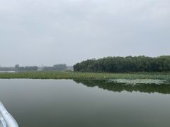 -大兴滨河森林公园