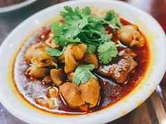 烧肥肠-天一沾水肥肠(科园一街店)