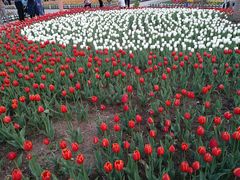 -长春公园(普阳街道)