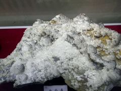 android_upload_pic-延庆地质公园博物馆