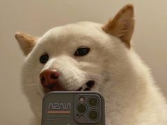 -鸥迪足道(建大店)