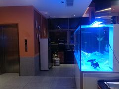 -黄鱼炙夜(华家池店)