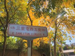 -三里屯东五街银杏大道