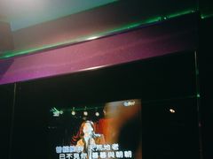 -麦克疯KTV(花园店)