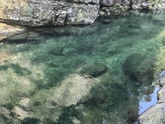 -石台牯牛降景区