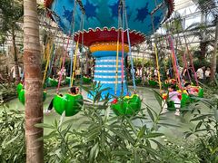 -南宫五洲植物乐园