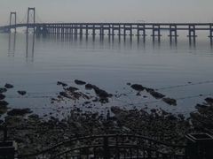 -星海湾跨海大桥
