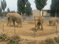 -石家庄市动物园