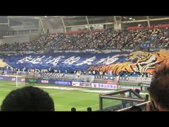 -泰达足球场