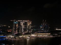 -新加坡瑞士史丹福酒店