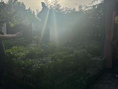 -慢丽江·云南野生菌土鸡锅(西山店)