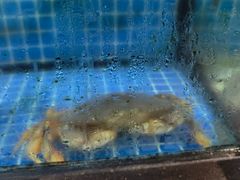 -碧海银沙海鲜餐厅(恒大海上威尼斯店)