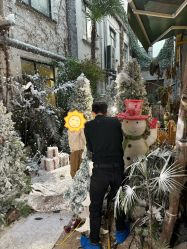 点击看大图 -七色田儿童摄影(静安店)