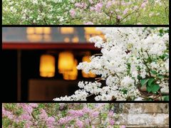 -恭王府博物馆