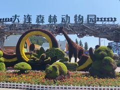 -大连森林动物园