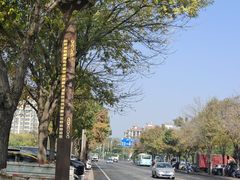 -苏顺成纯绿豆饼(中华南大街店)