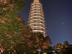 -听松楼·花园酒店·自助餐厅(红梅公园店)