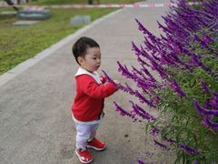 -白鹭湾湿地公园